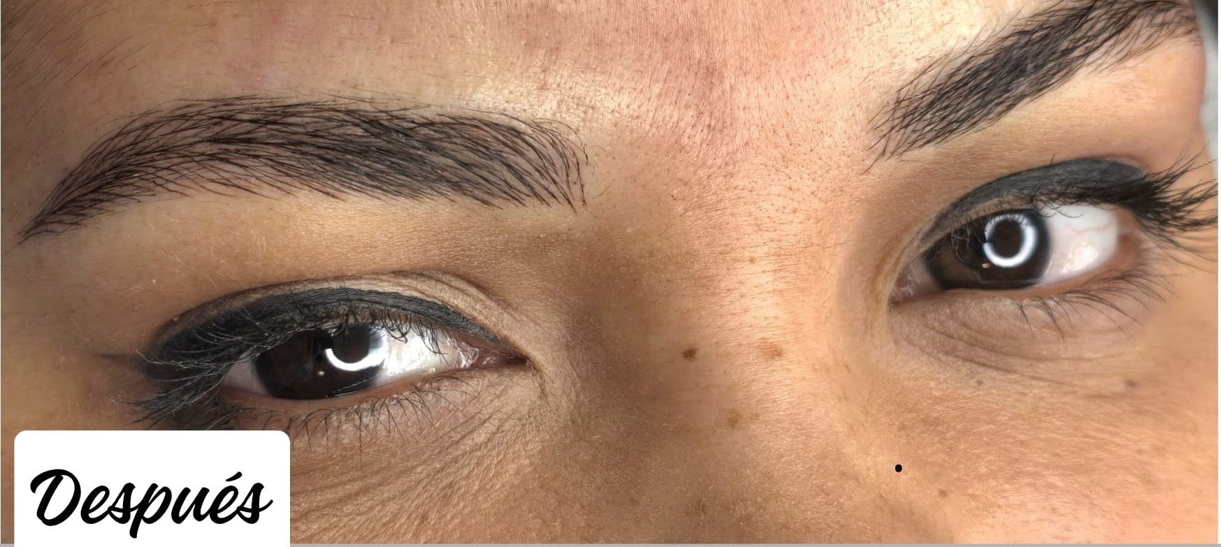 Microblading de Cejas - Después